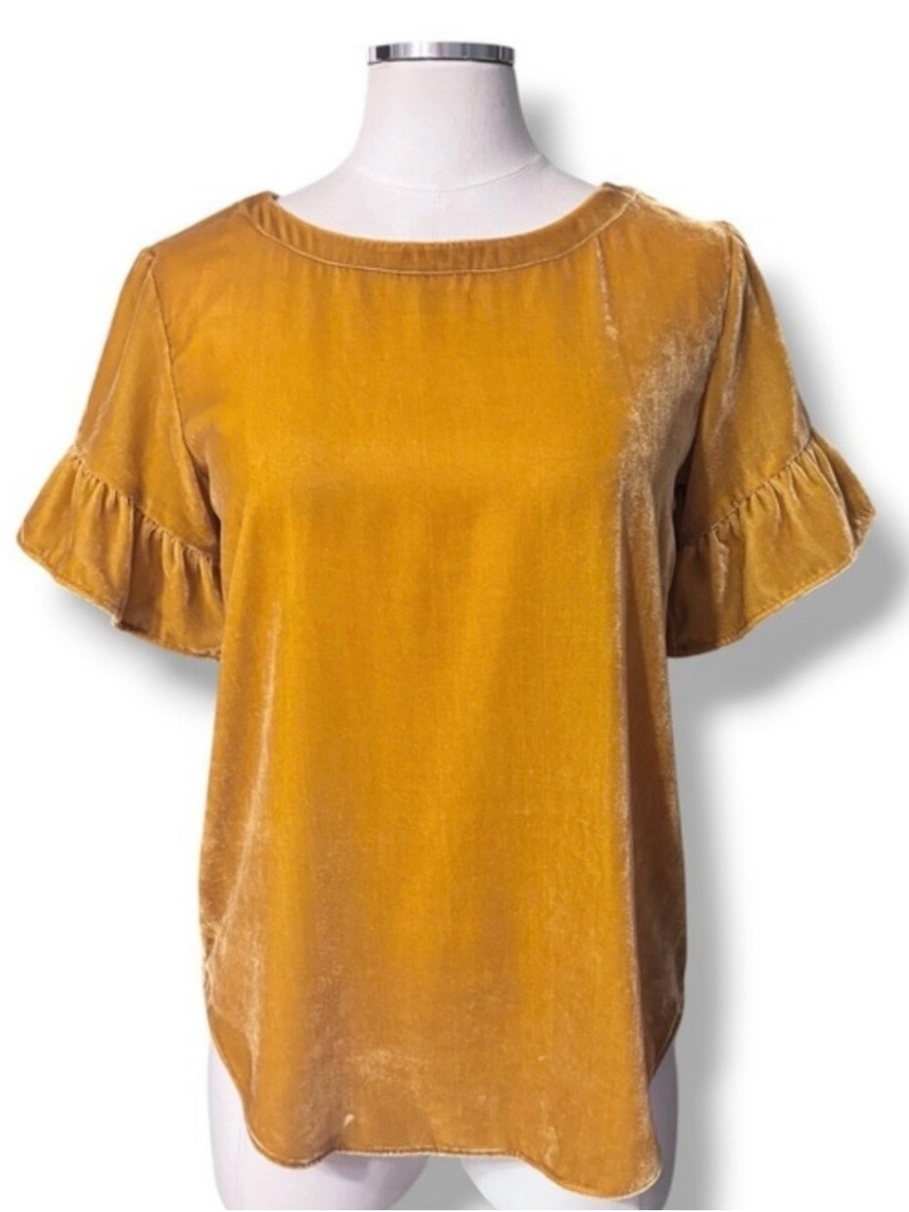 Loft Velvety Ruffle Sleeve Women's Top